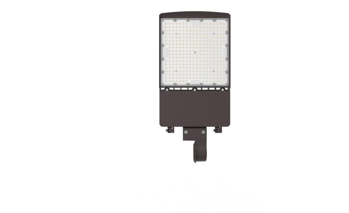 SB08