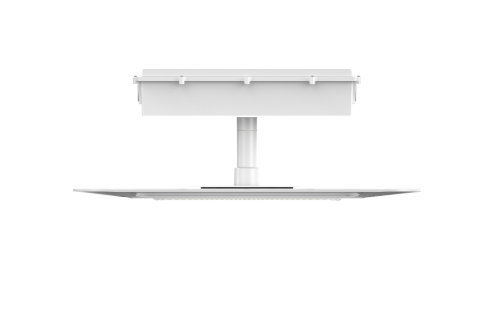 CP06