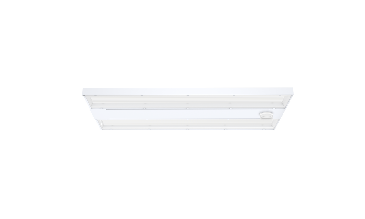 LHB07