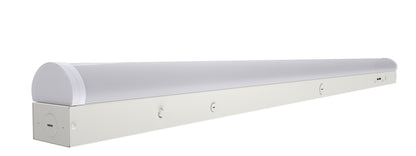LP01