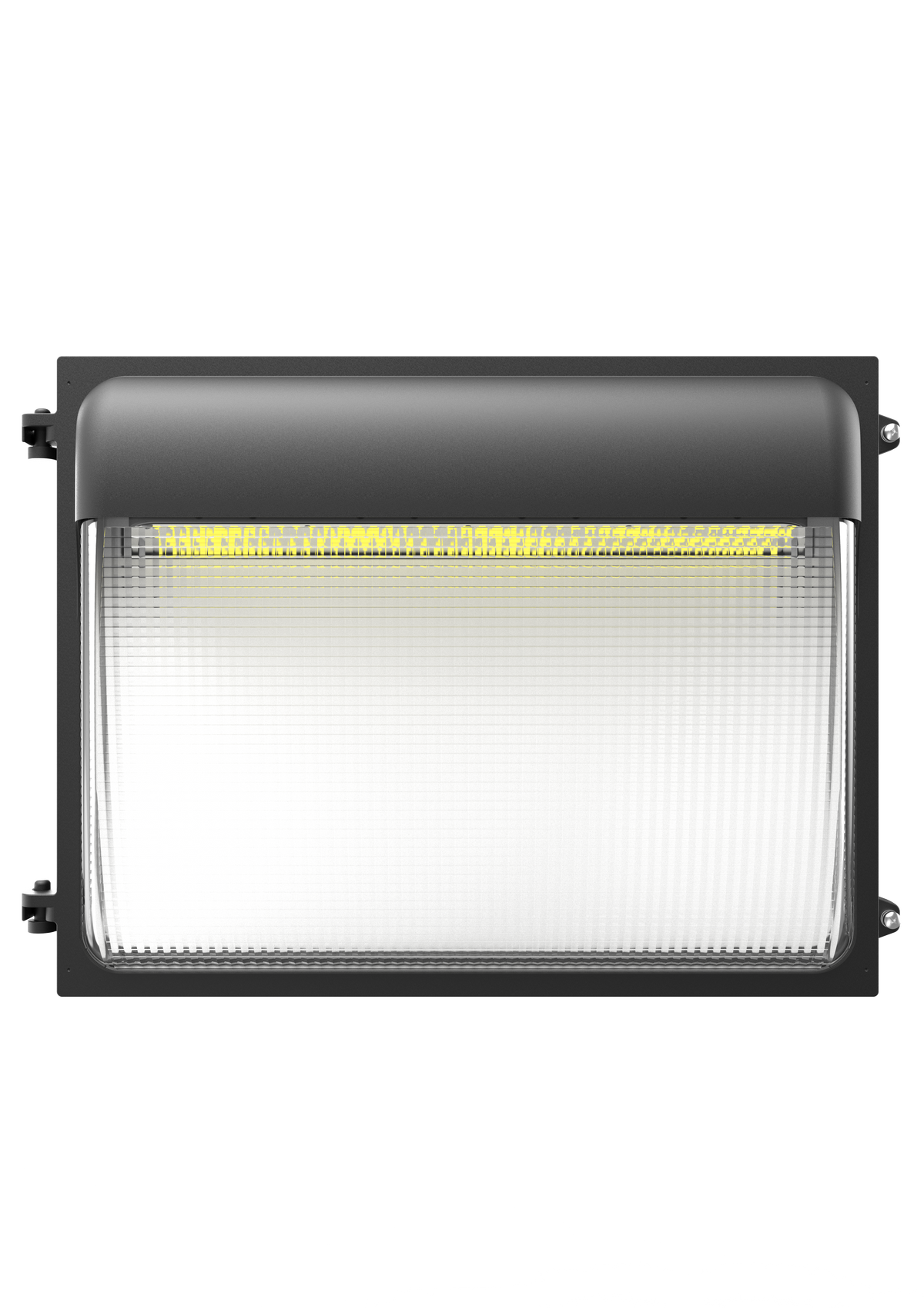 WP06
