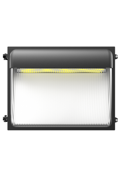 WP06