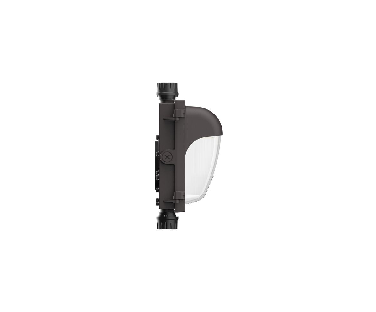 WP06