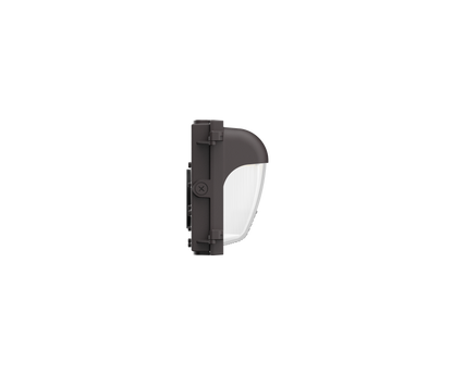 WP06