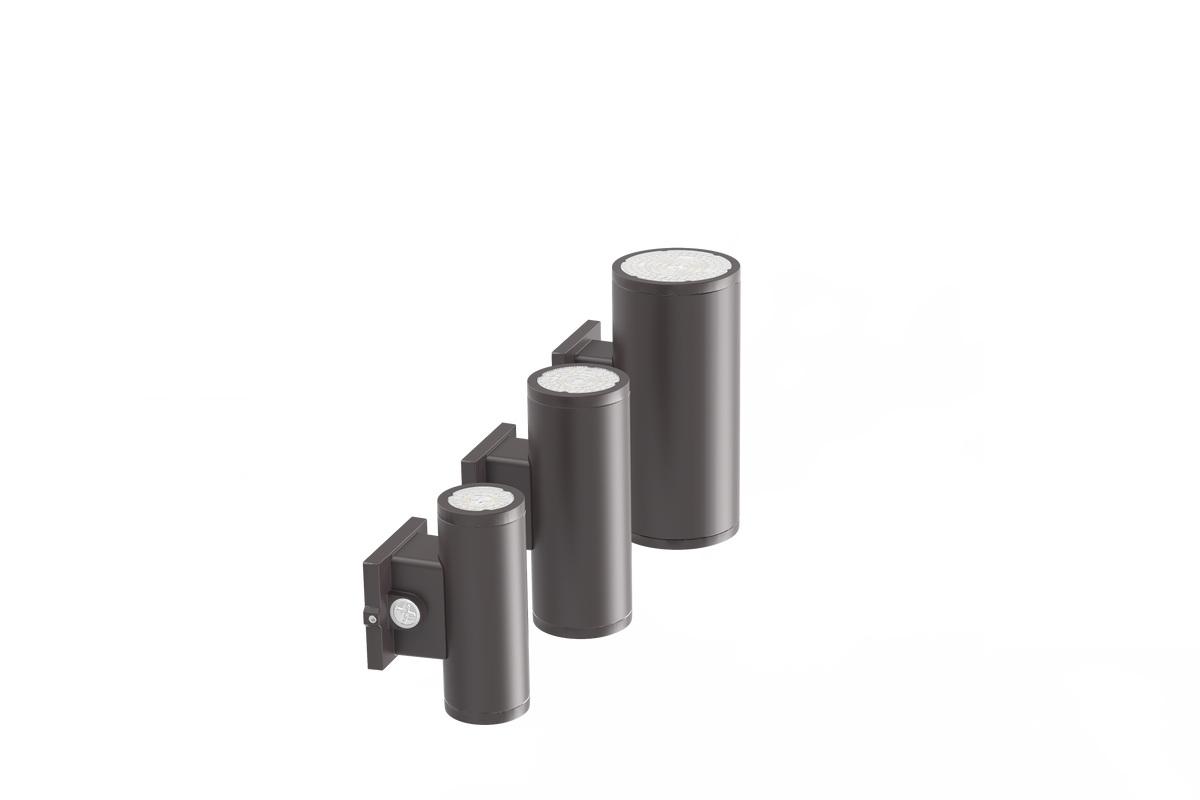 WP29