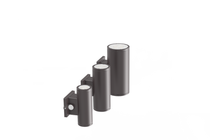 WP29
