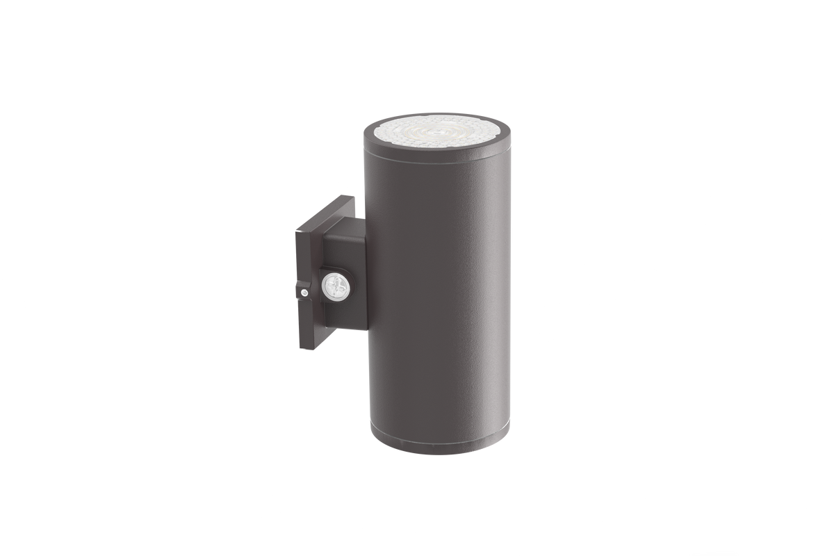 WP29