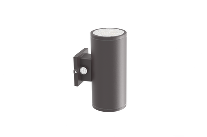 WP29