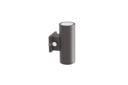 WP29