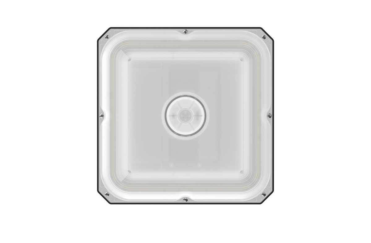 CP02G