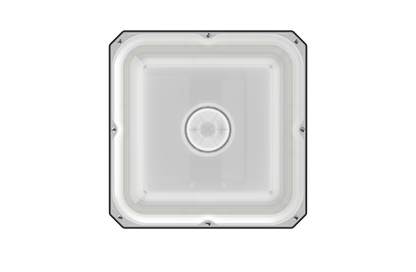 CP02G