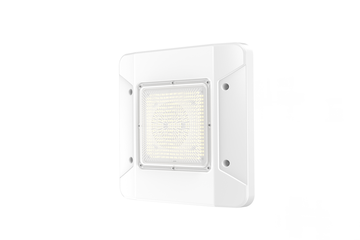 CP05