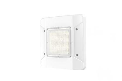 CP05