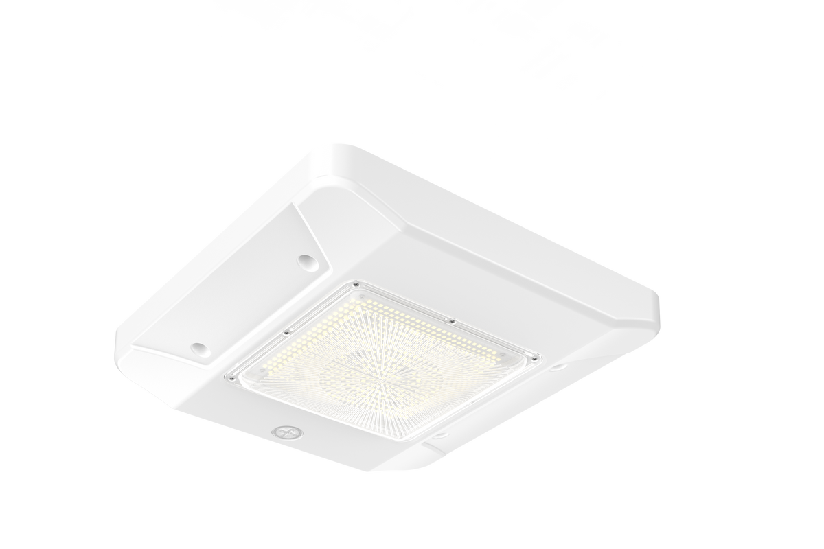 CP05