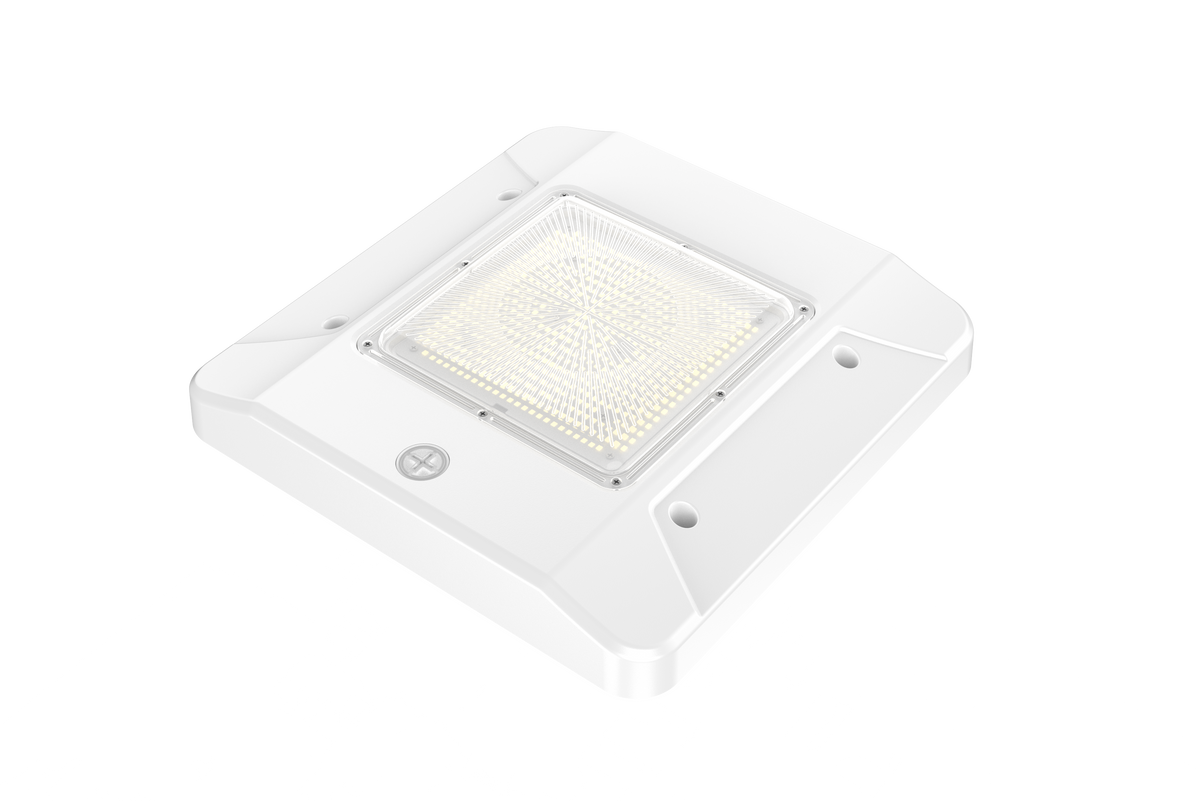 CP05