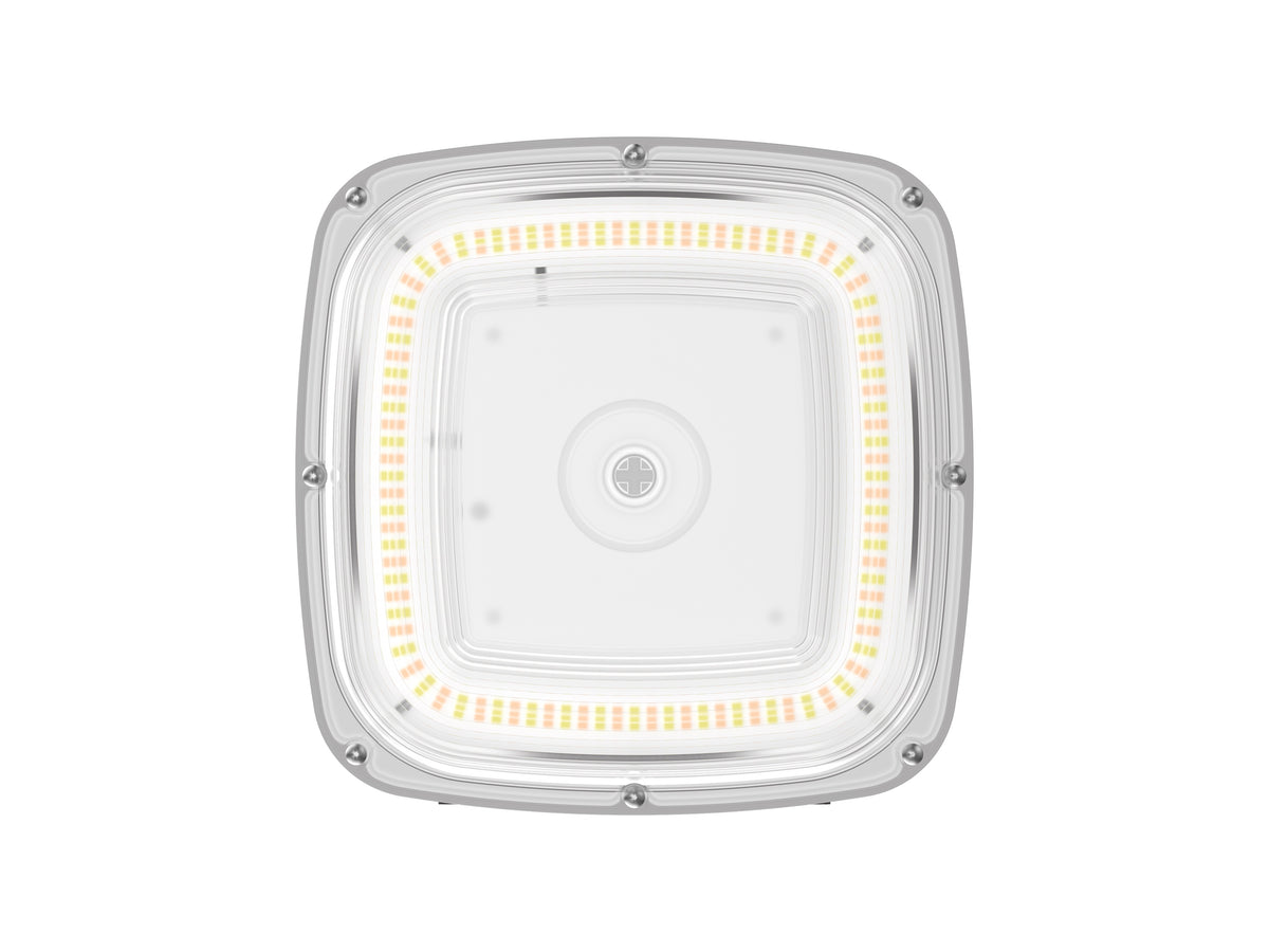CP08