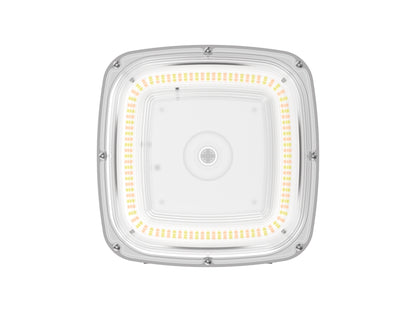 CP08
