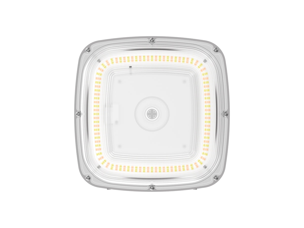 CP08