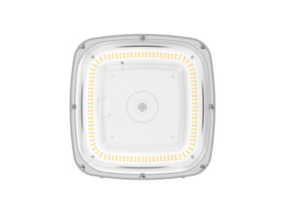 CP08