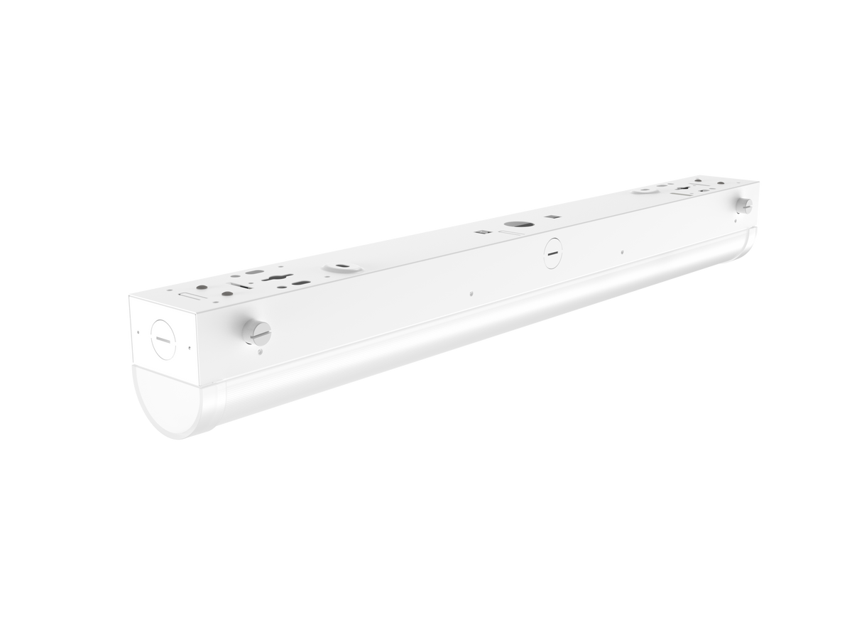 LP03
