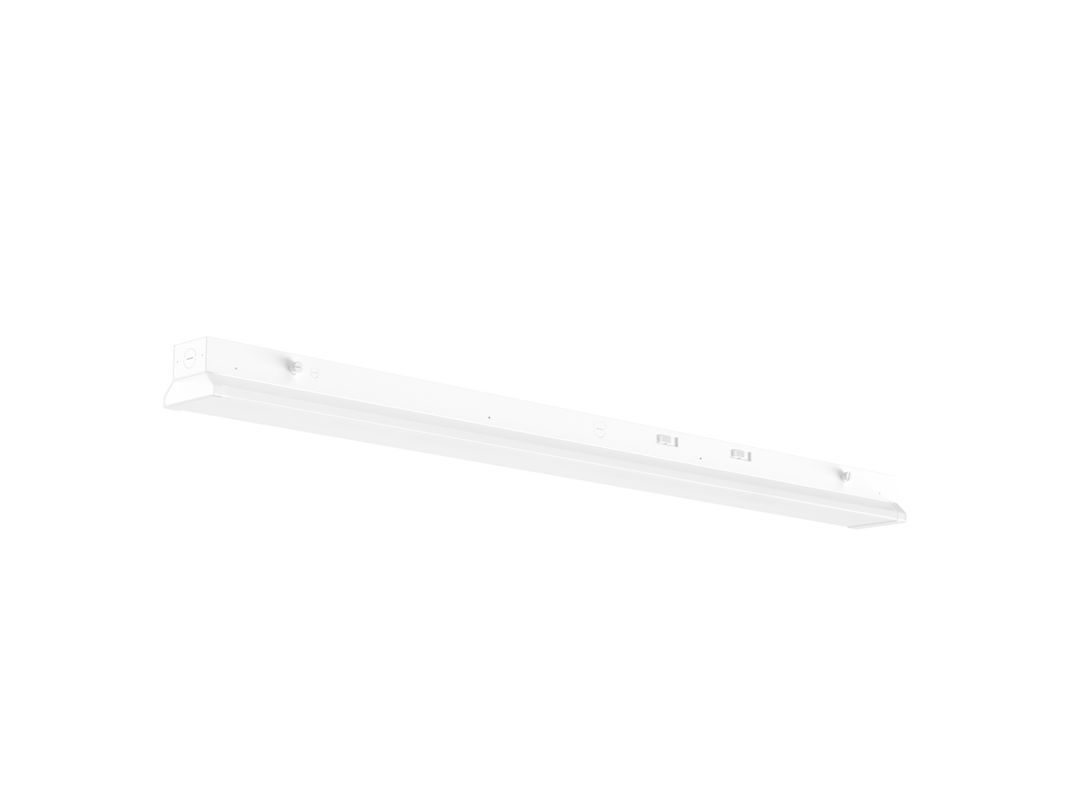 LP03