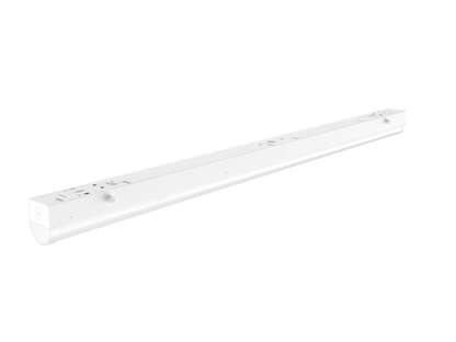 LP03
