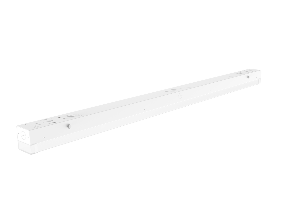 LP03