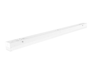 LP03