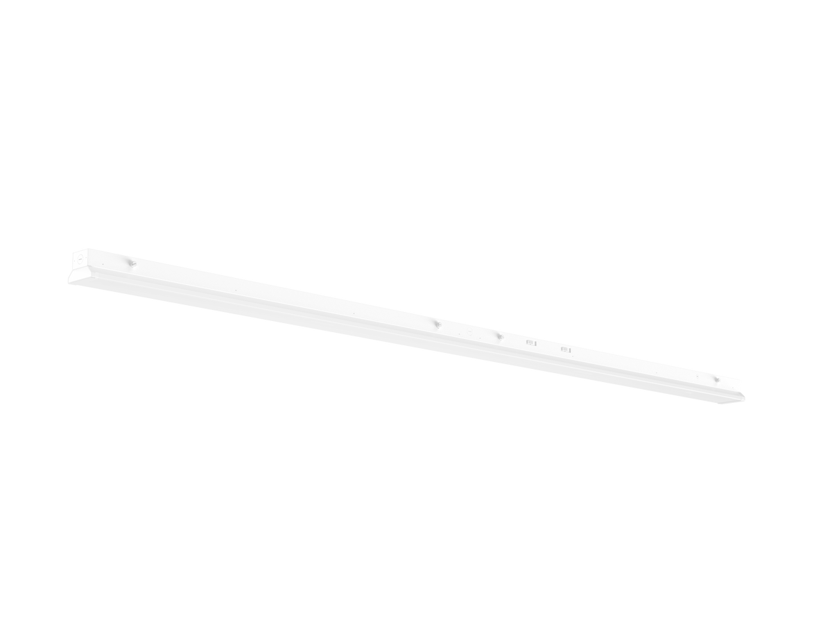 LP03