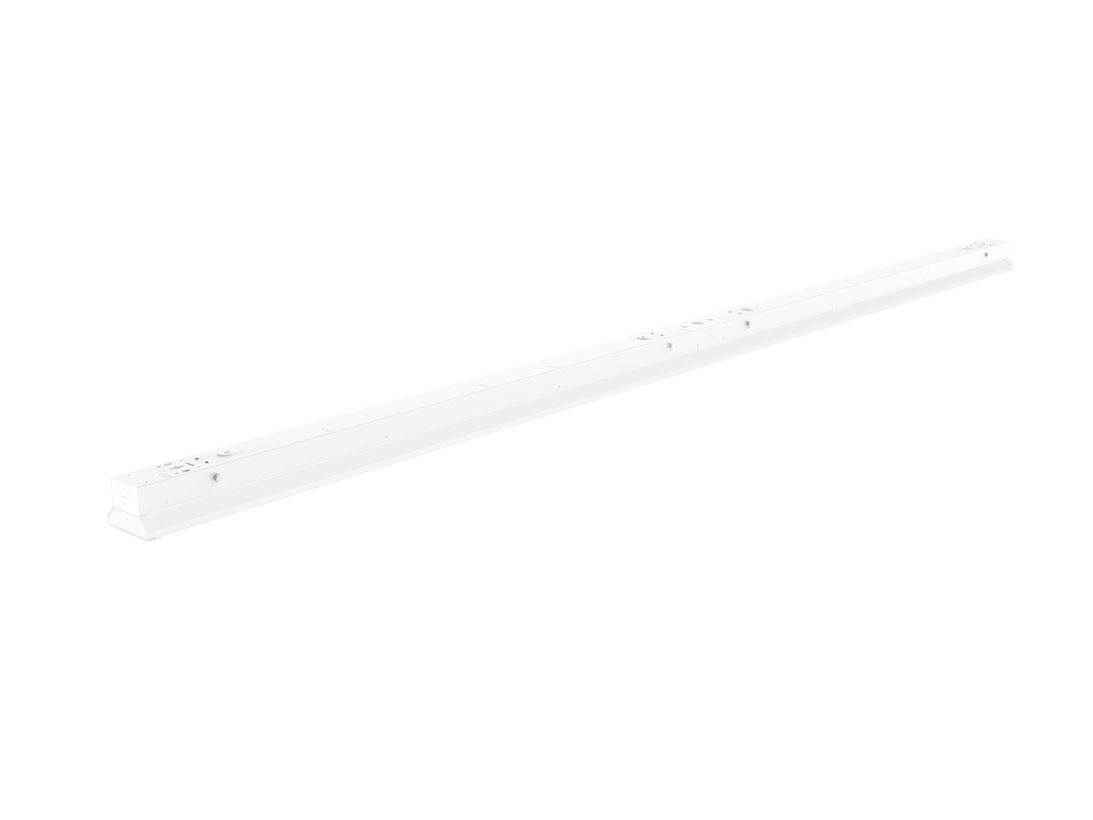 LP03