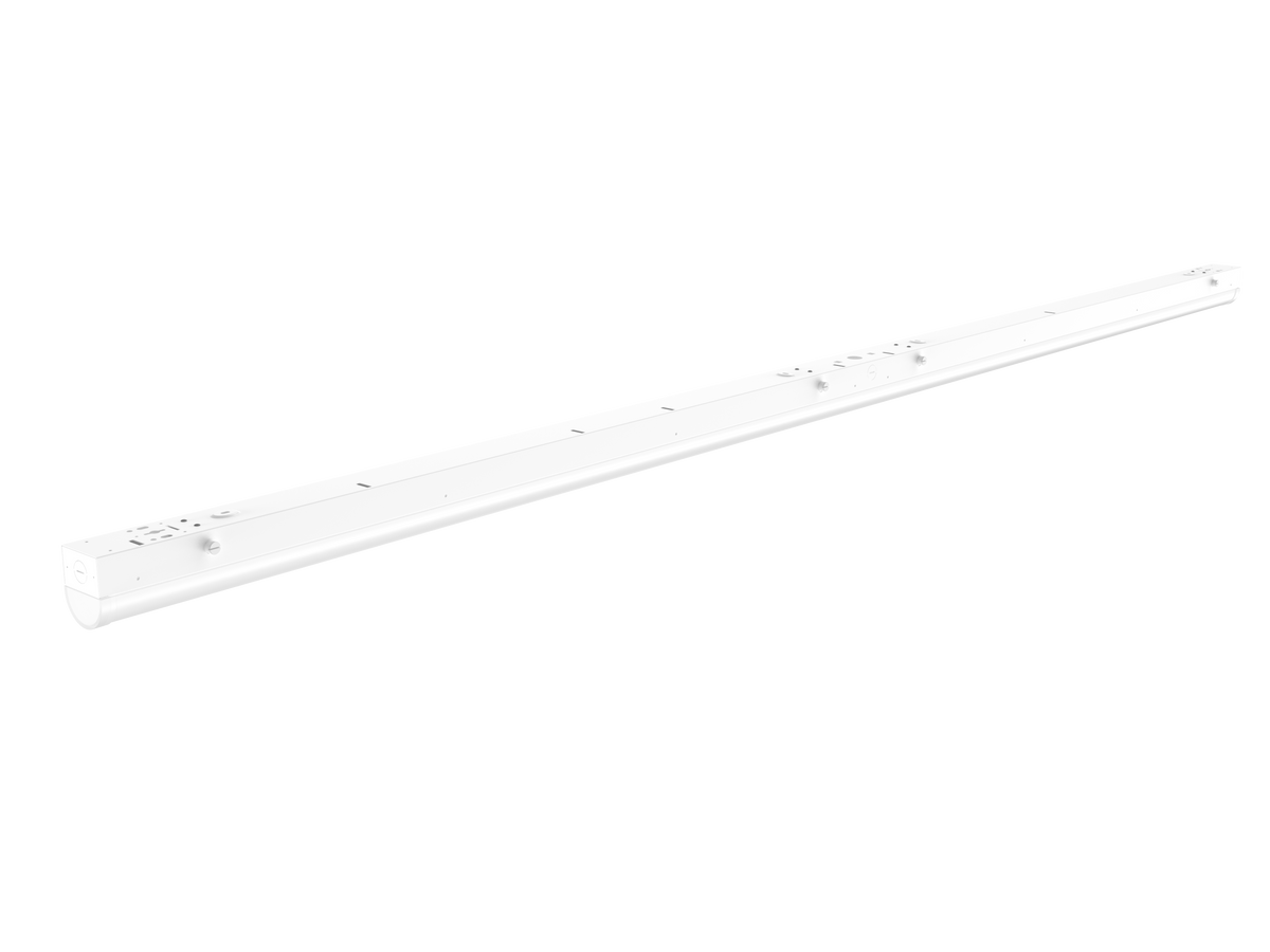 LP03