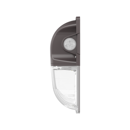 WP20