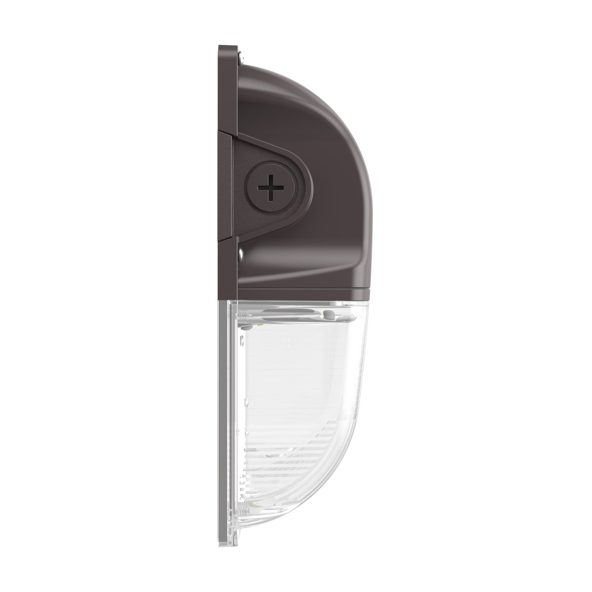 WP20