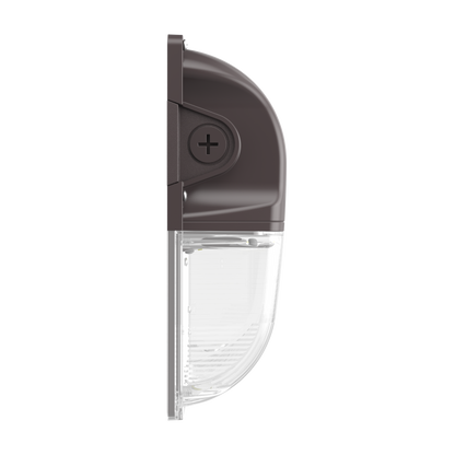 WP20