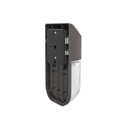 WP23
