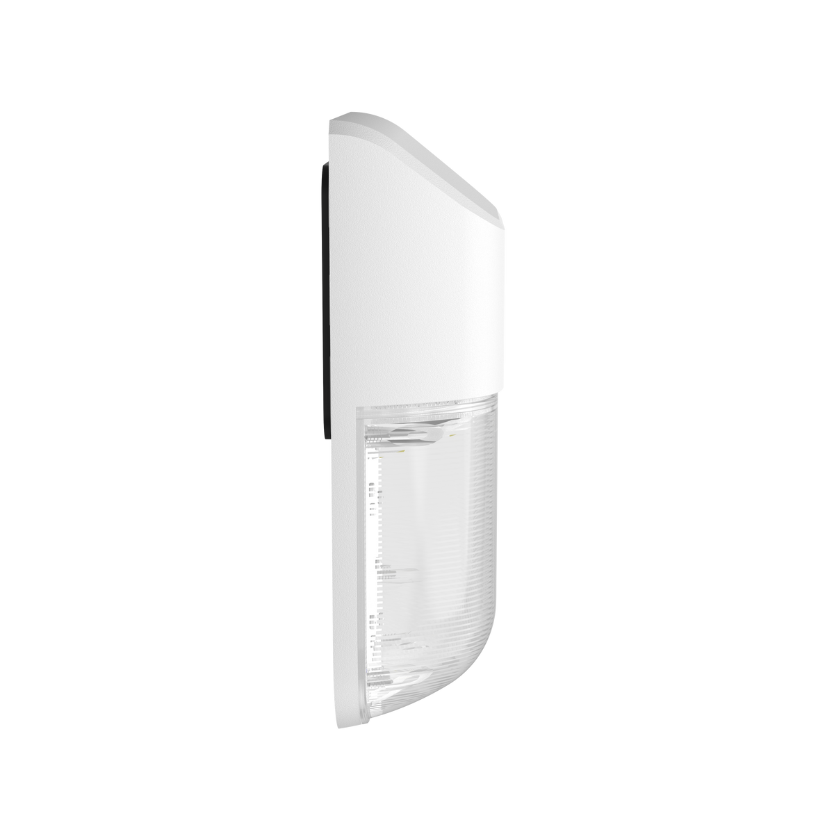 WP23