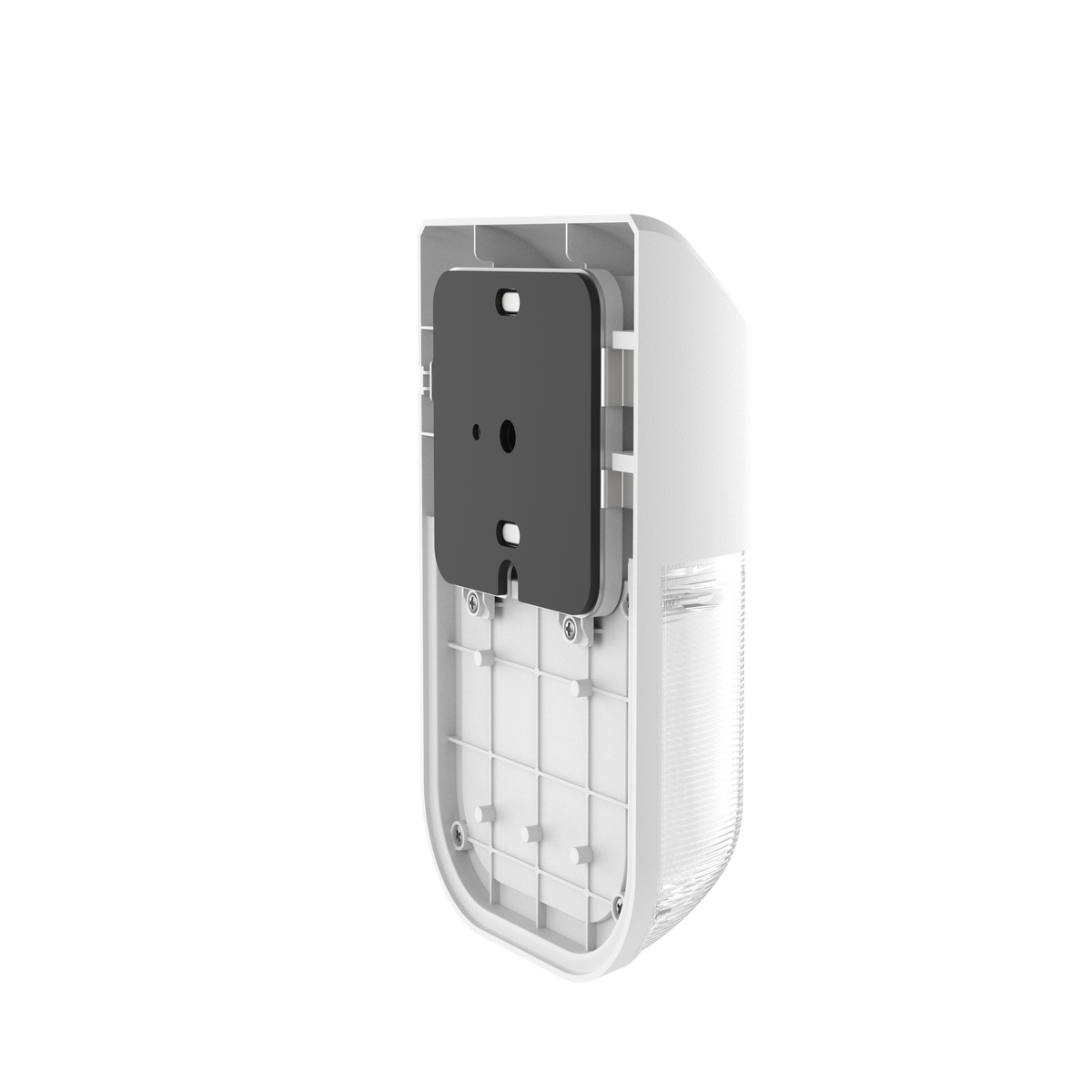 WP23